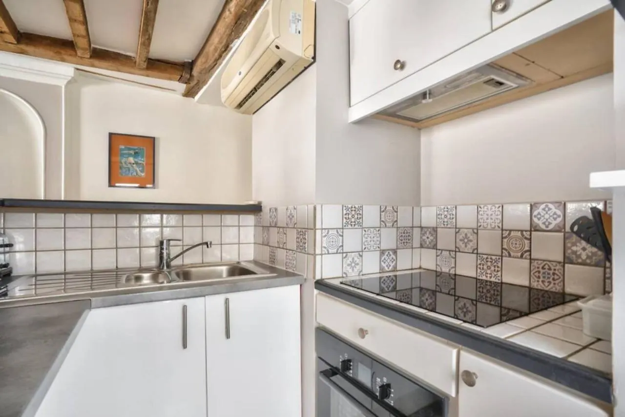 Exquisite And Spacious Apartment Paříž